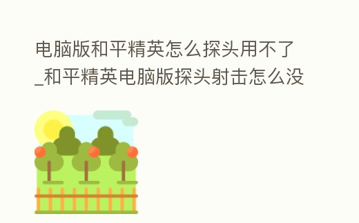 電腦版和平精英怎么探頭用不了_和平精英電腦版探頭射擊怎么沒有了