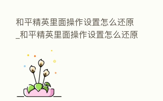 和平精英里面操作設(shè)置怎么還原_和平精英里面操作設(shè)置怎么還原不了