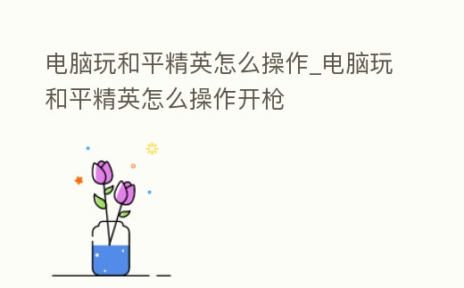 電腦玩和平精英怎么操作_電腦玩和平精英怎么操作開槍