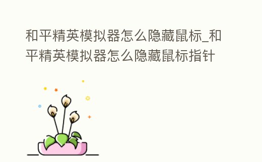 和平精英模擬器怎么隱藏鼠標_和平精英模擬器怎么隱藏鼠標指針