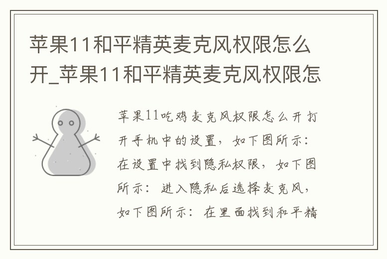 蘋果11和平精英麥克風權限怎么開_蘋果11和平精英麥克風權限怎么開不了