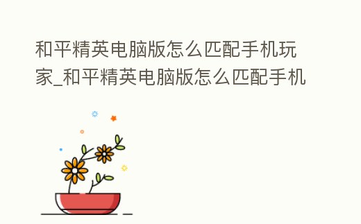 和平精英電腦版怎么匹配手機玩家_和平精英電腦版怎么匹配手機玩家聊天