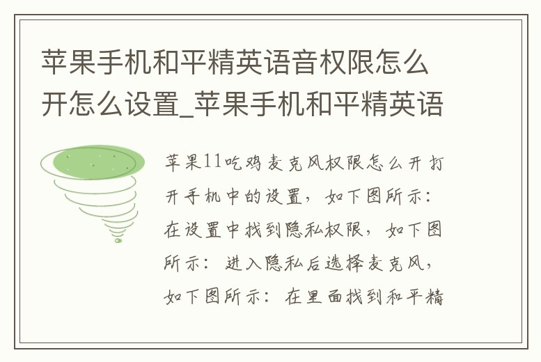蘋果手機(jī)和平精英語音權(quán)限怎么開怎么設(shè)置_蘋果手機(jī)和平精英語音授權(quán)在哪里