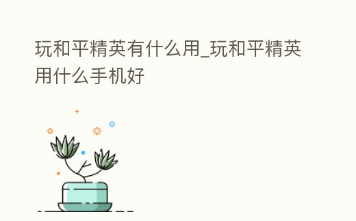 玩和平精英有什么用_玩和平精英用什么手機好