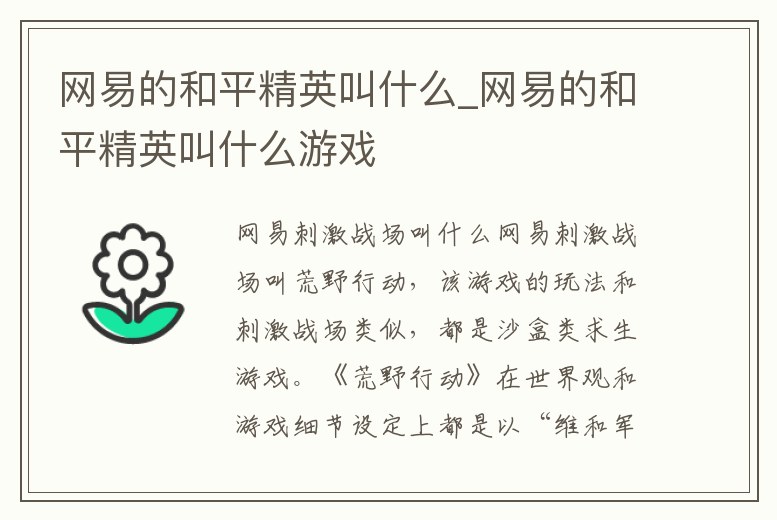 網易的和平精英叫什么_網易的和平精英叫什么游戲