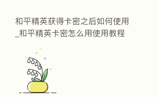 和平精英獲得卡密之后如何使用_和平精英卡密怎么用使用教程
