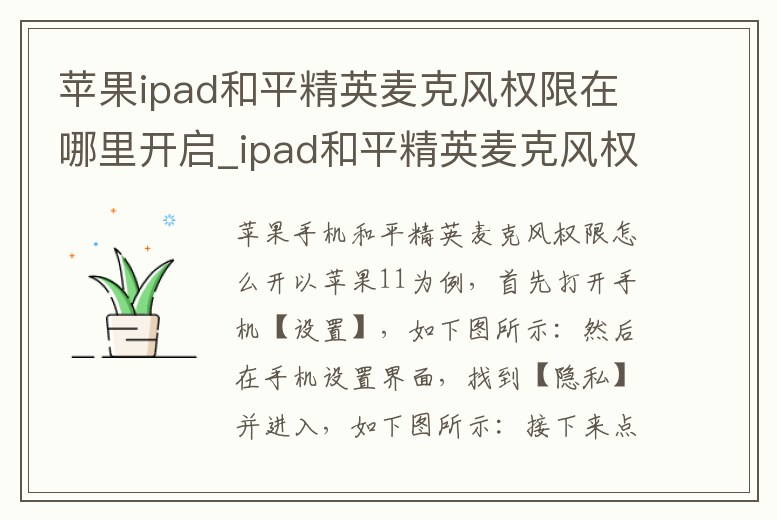 蘋果ipad和平精英麥克風權限在哪里開啟_ipad和平精英麥克風權限怎么打開
