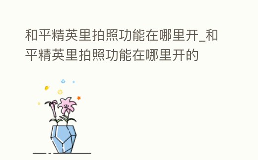 和平精英里拍照功能在哪里開_和平精英里拍照功能在哪里開的