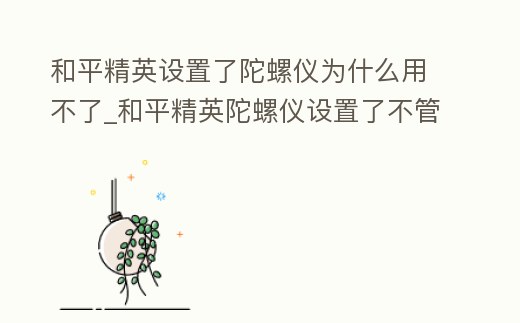 和平精英設置了陀螺儀為什么用不了_和平精英陀螺儀設置了不管用為什么