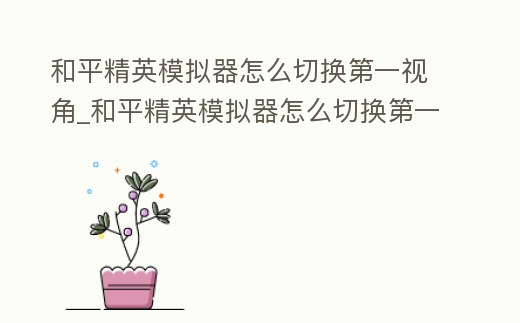 和平精英模擬器怎么切換第一視角_和平精英模擬器怎么切換第一視角玩