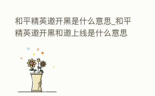 和平精英邀開(kāi)黑是什么意思_和平精英邀開(kāi)黑和邀上線是什么意思