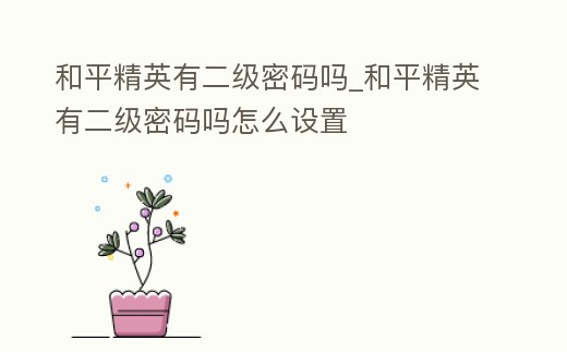 和平精英有二級密碼嗎_和平精英有二級密碼嗎怎么設置