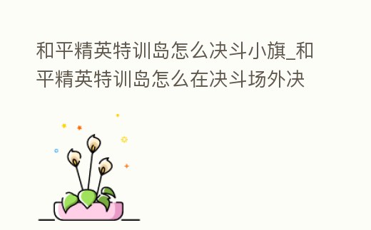 和平精英特訓島怎么決斗小旗_和平精英特訓島怎么在決斗場外決斗