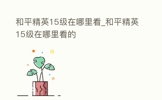 和平精英15級在哪里看_和平精英15級在哪里看的