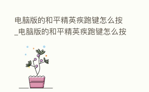 電腦版的和平精英疾跑鍵怎么按_電腦版的和平精英疾跑鍵怎么按不了