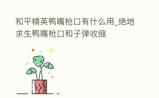 和平精英鴨嘴槍口有什么用_絕地求生鴨嘴槍口和子彈收縮