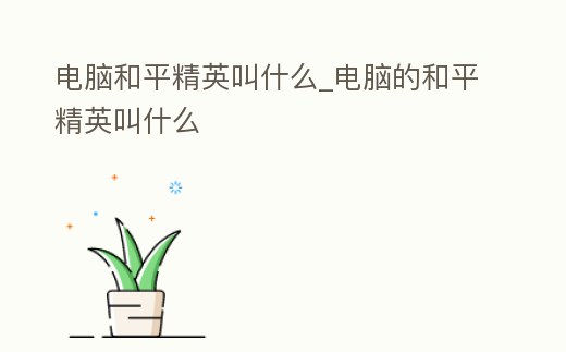 電腦和平精英叫什么_電腦的和平精英叫什么