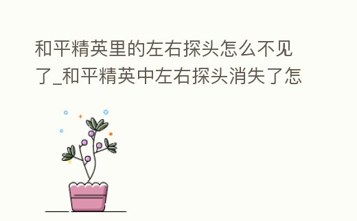 和平精英里的左右探頭怎么不見了_和平精英中左右探頭消失了怎么恢復