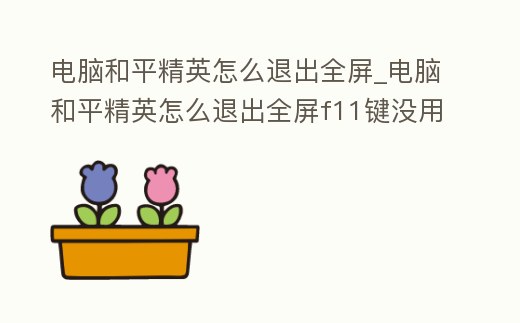 電腦和平精英怎么退出全屏_電腦和平精英怎么退出全屏f11鍵沒用