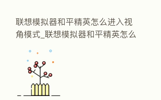 聯想模擬器和平精英怎么進入視角模式_聯想模擬器和平精英怎么進入視角模式的