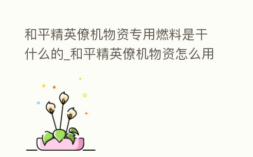 和平精英僚機物資專用燃料是干什么的_和平精英僚機物資怎么用