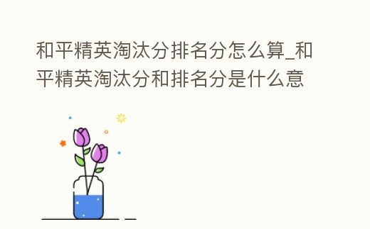 和平精英淘汰分排名分怎么算_和平精英淘汰分和排名分是什么意思