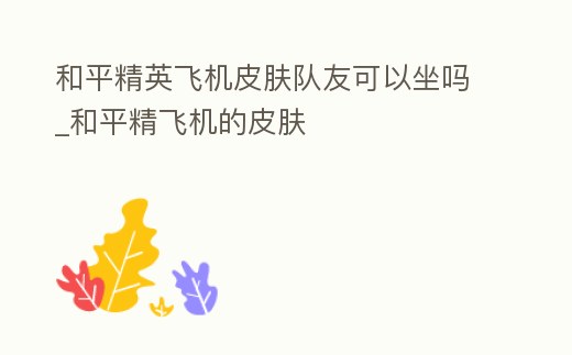 和平精英飛機皮膚隊友可以坐嗎_和平精飛機的皮膚