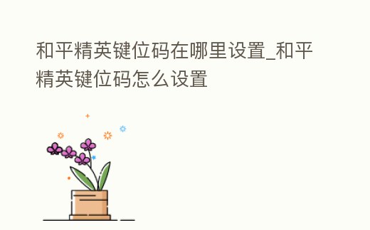 和平精英鍵位碼在哪里設置_和平精英鍵位碼怎么設置