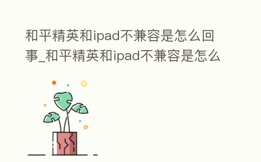 和平精英和ipad不兼容是怎么回事_和平精英和ipad不兼容是怎么回事兒