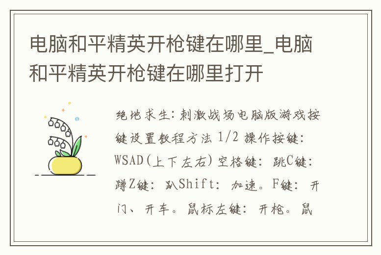 電腦和平精英開槍鍵在哪里_電腦和平精英開槍鍵在哪里打開