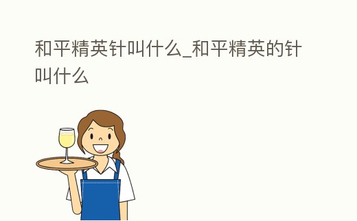 和平精英針叫什么_和平精英的針叫什么