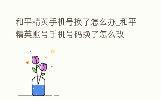 和平精英手機(jī)號(hào)換了怎么辦_和平精英賬號(hào)手機(jī)號(hào)碼換了怎么改