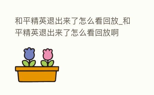 和平精英退出來了怎么看回放_和平精英退出來了怎么看回放啊