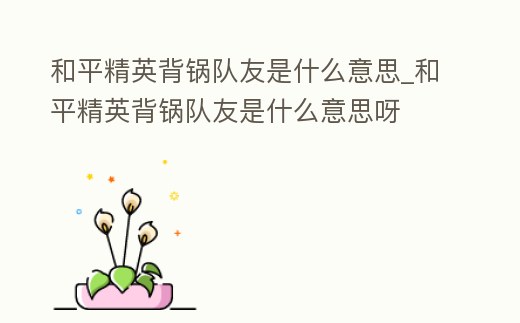 和平精英背鍋隊友是什么意思_和平精英背鍋隊友是什么意思呀