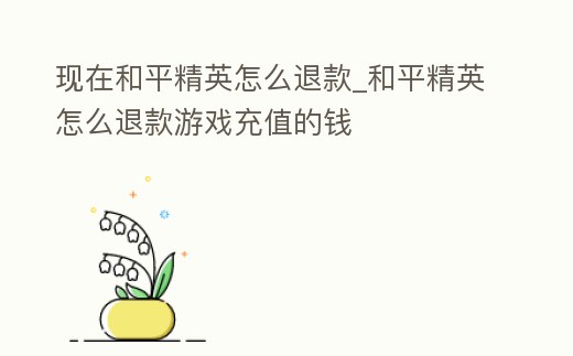 現在和平精英怎么退款_和平精英怎么退款游戲充值的錢