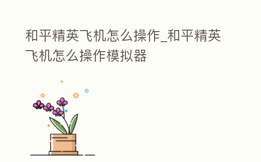 和平精英飛機怎么操作_和平精英飛機怎么操作模擬器