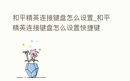 和平精英連接鍵盤怎么設(shè)置_和平精英連接鍵盤怎么設(shè)置快捷鍵