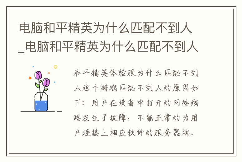 電腦和平精英為什么匹配不到人_電腦和平精英為什么匹配不到人機(jī)