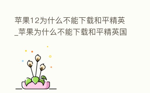 蘋果12為什么不能下載和平精英_蘋果為什么不能下載和平精英國際服
