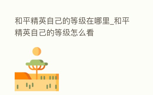 和平精英自己的等級在哪里_和平精英自己的等級怎么看