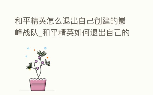 和平精英怎么退出自己創建的巔峰戰隊_和平精英如何退出自己的巔峰戰隊