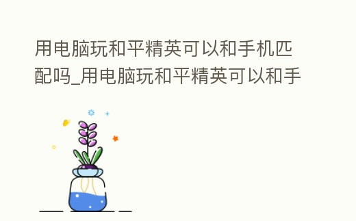 用電腦玩和平精英可以和手機匹配嗎_用電腦玩和平精英可以和手機匹配嗎