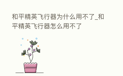和平精英飛行器為什么用不了_和平精英飛行器怎么用不了