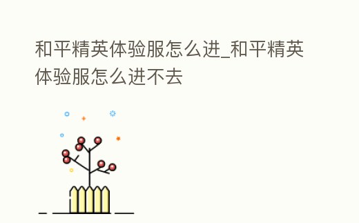 和平精英體驗服怎么進_和平精英體驗服怎么進不去